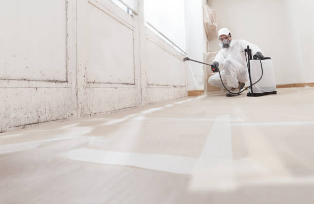 24/7 Emergency Black Mold Remediation experts in South Orange, NJ